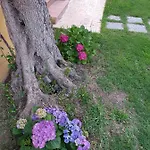 Residenza Laura *