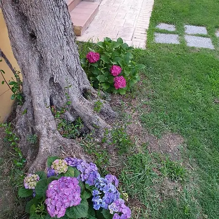 Residenza Laura *